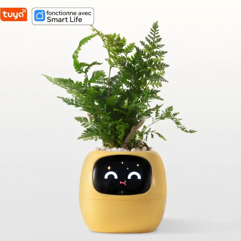 Lumi – La plante qui réagit à vous