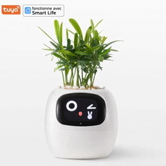 Lumi – La plante qui réagit à vous