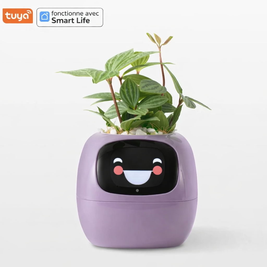 Lumi – La plante qui réagit à vous