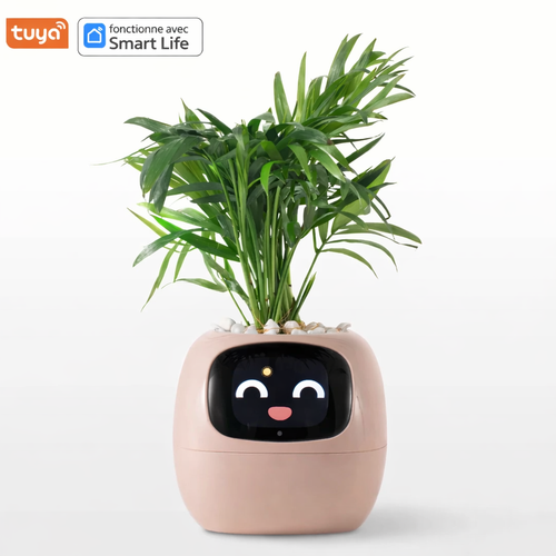 Lumi – La plante qui réagit à vous