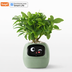 Lumi – La plante qui réagit à vous